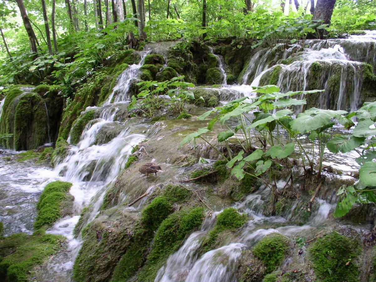 Accommodation Plitvice Korenica Bagian luar foto